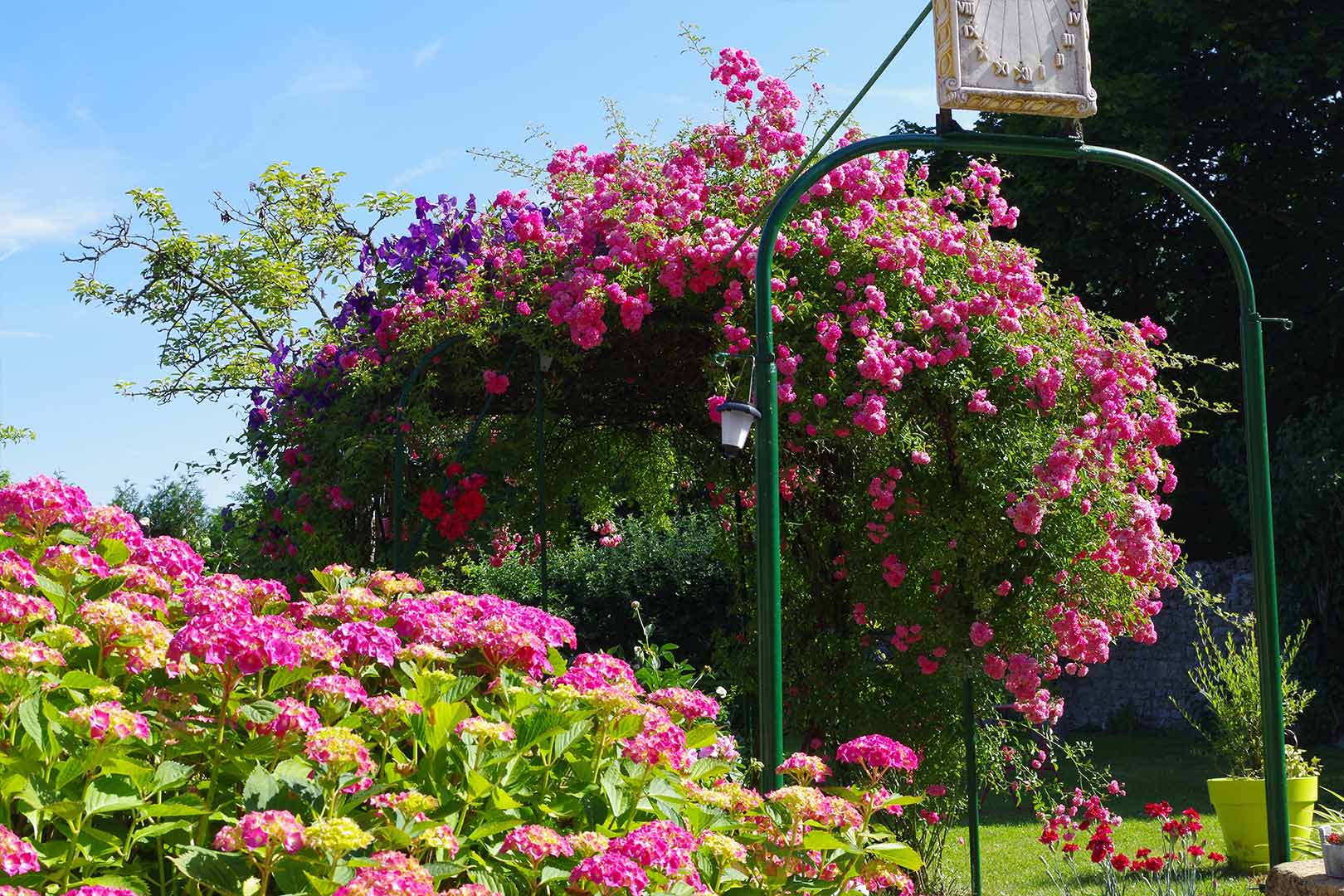 Jardin Chambres d'hôtes La Maison des Roses à Metz